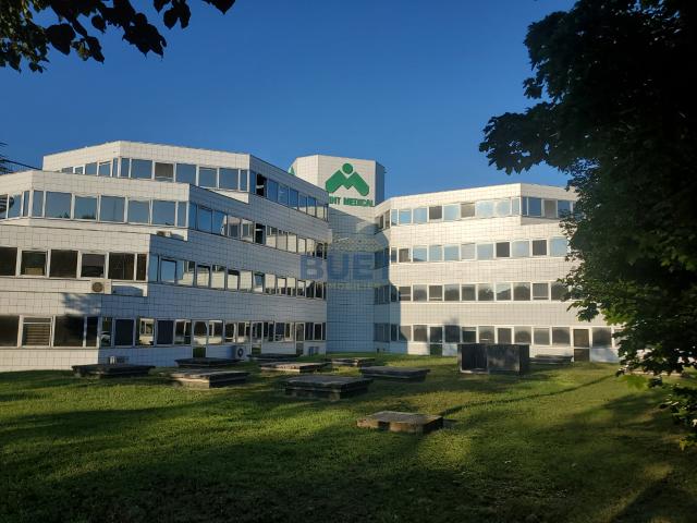 POINT MEDICAL