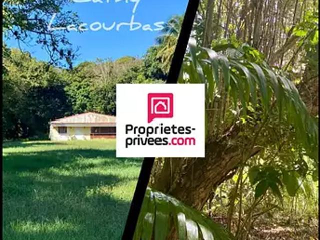 Pointe Noire 97116 Achat / Vente terrain