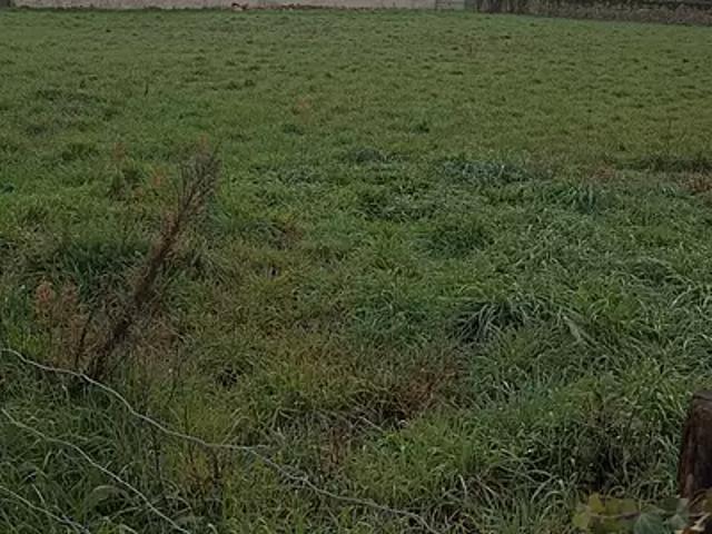 Poiroux 85440 Programme neuf terrain neuf à vendre
