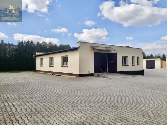 Pokrzywno 200 m², Poznań