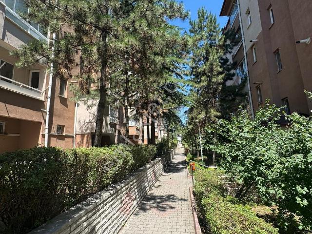 Polat Lıve Emlak'tan Kiralık Merkezi Konumda 3+1 Daire