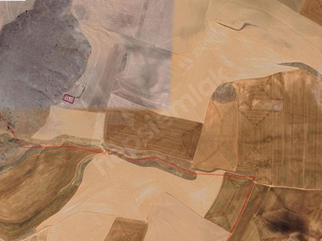 Polatlı Hacıtuğrul Mah. 119 Ada 14 Parsel 1000m2 Tek Tapu