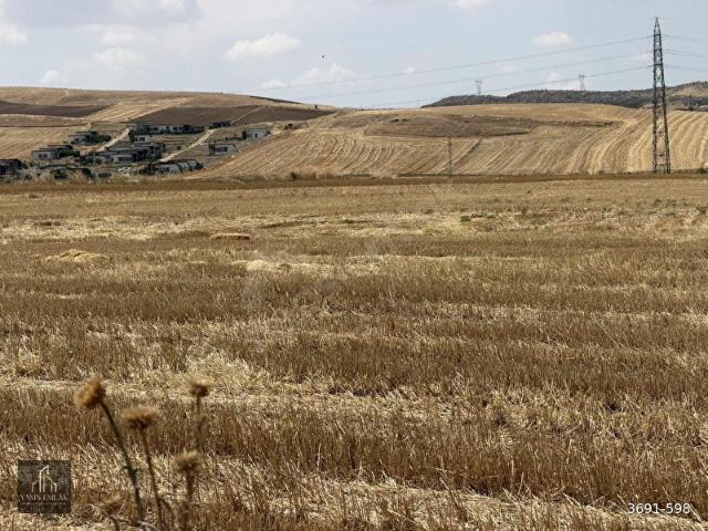 OLUKPINAR'DA ASFALT CEPHELİ TEK TAPU SATILIK ARAZİ