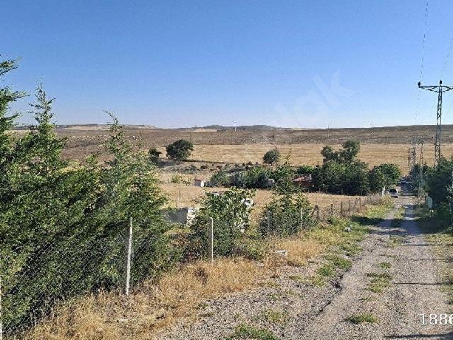 POLATLI BEYCEĞİZ'DE UYGUN FİYATA SATILIK 3000 M2 BAĞEVİ ARAZİSİ