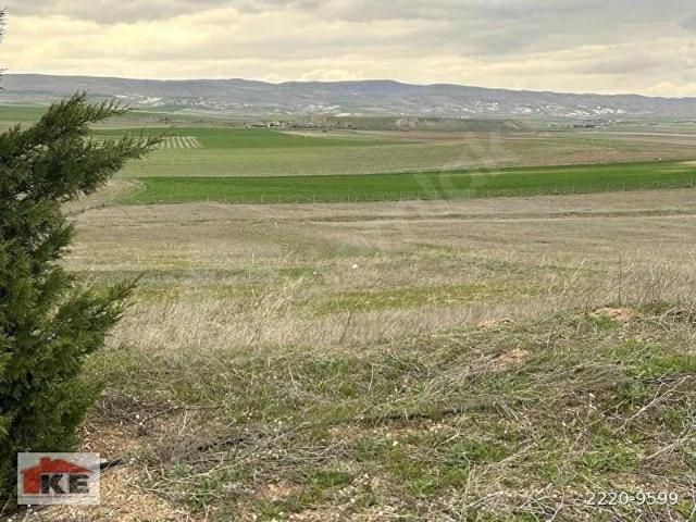 POLATLI HACITUĞRUL 'da 1055m2 KÖŞE KONUMLU 0:18 EMSAL İMARLI