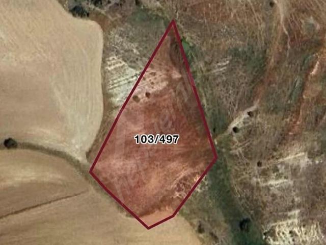 POLATLI KARAAHMET ÖREN MEVKİİ TEK TAPU 4200 M2 SU KENARI
