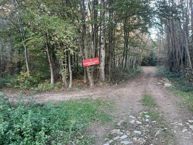 Pole, dzialka,las, gmina Słonne obok Dubiecka