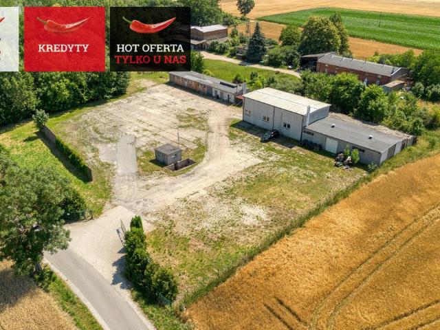 Polecam! Obiekt 730 m² z halą i placem 7200 m² w Młodocinie