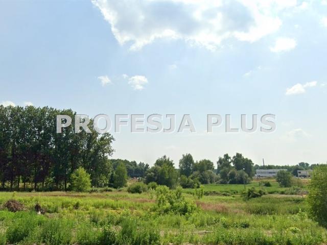 Sprzedam działkę 3091 m² przy ruchliwej drodze w Siemianowicach