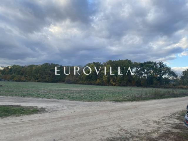 Polecam działkę inwestycyjną 5350 m² w Wilanowie