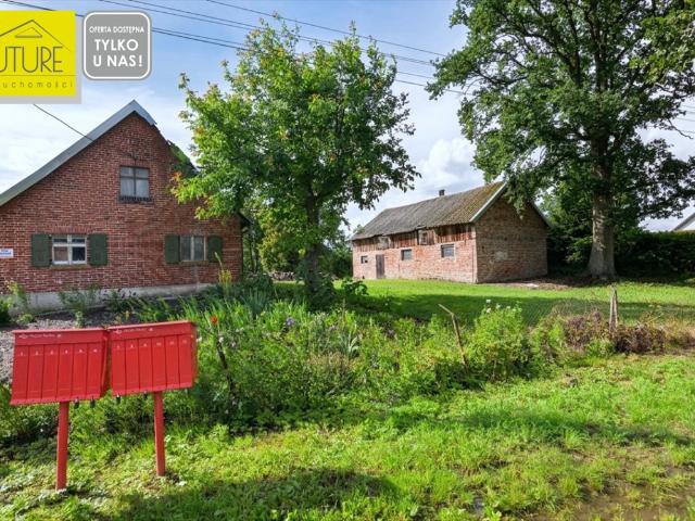 Polecam dom z cegły na Żuławach z budynkiem 70 m² i dużą działką