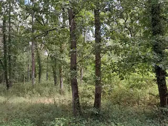 Poligny 77167 Achat / Vente terrain