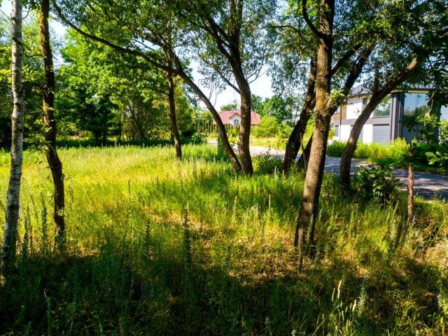 Poligonowa 909 m², Leśniakowizna