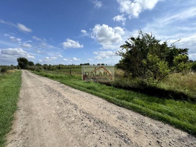 Pólko 6 500 m², Czersk