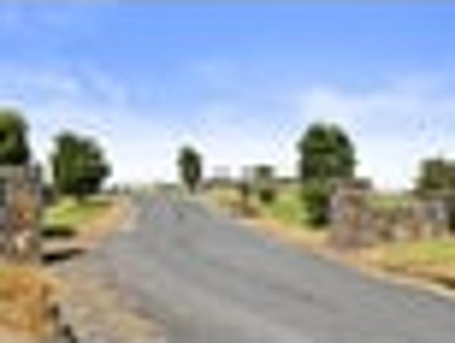 Pollok Lifestyle Starter