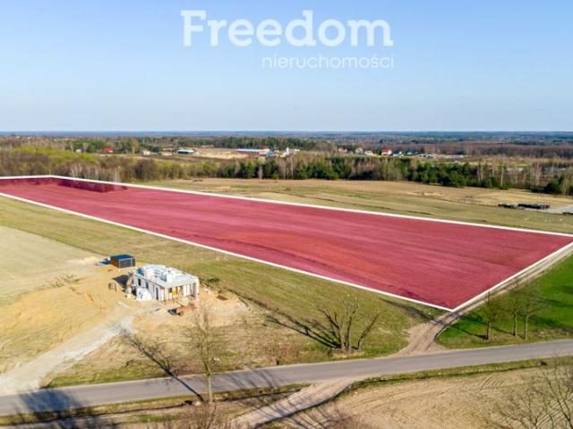 Polna 50 600 m², Promna