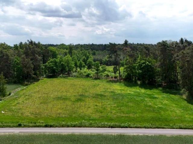 Polna 902 m², Masanów