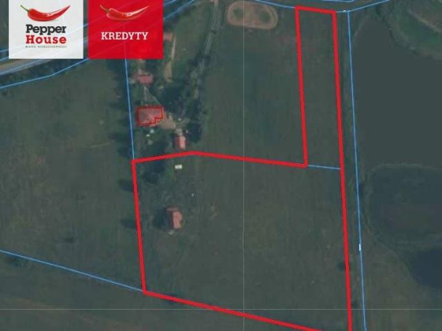 Polna 19 793 m², Przywidz