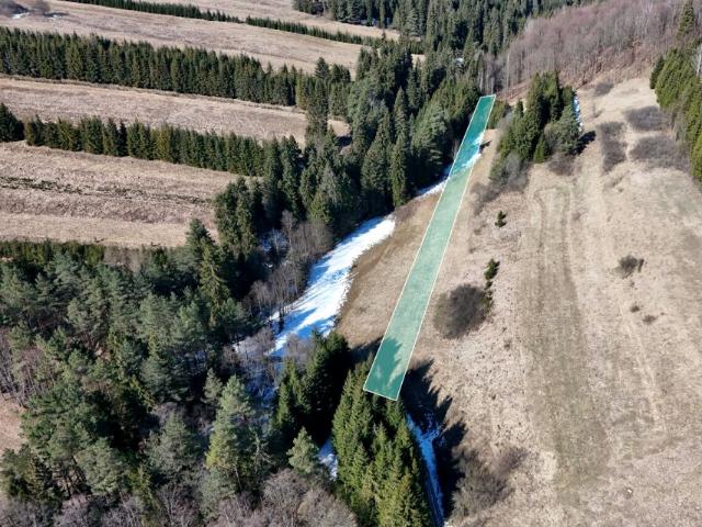 Polna 1 501 m², Dursztyn
