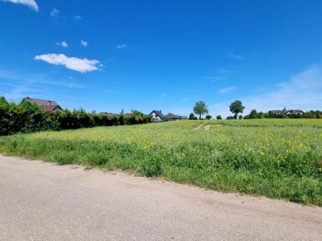 Polna 3 250 m², Pszczółki