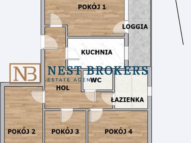 Polska, małopolskie, Kraków, Leonida Teligi