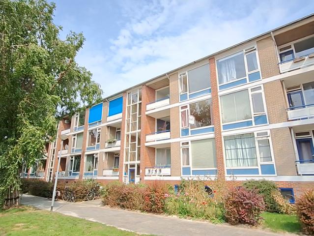 Populierenlaan, 111, 9741HC, Groningen, 9741HC