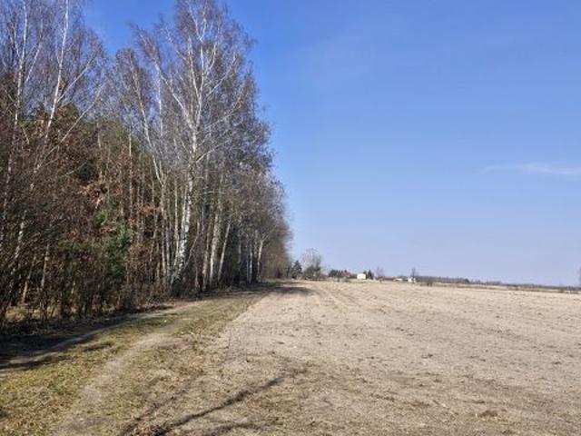 Poprzeczna 1 900 m², Prażmów