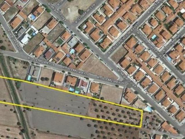 Portalegre Ponte de Sor 7400 101261604