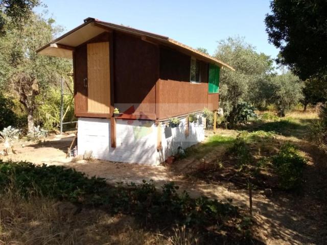Portalegre Ponte de Sor 7400 102883072