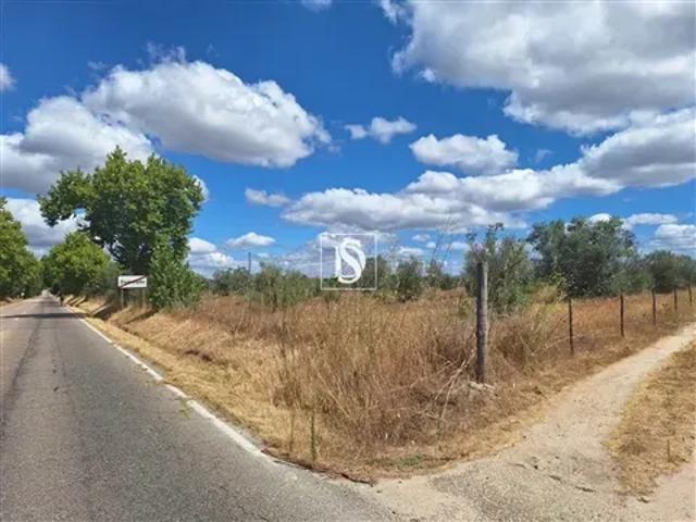 Portalegre Ponte de Sor 104829131