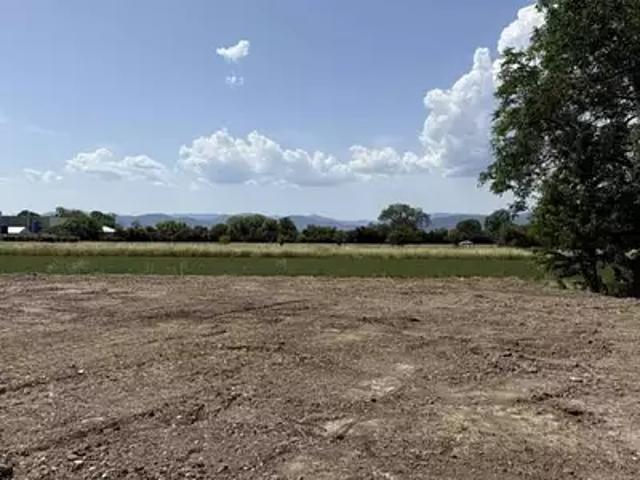 Porte du Ried 68320 Achat / Vente terrain