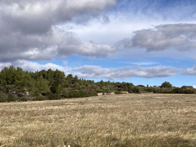 Portel des Corbières Vente Terrain 11