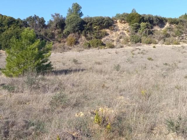 Portel des Corbières Vente Terrain 11