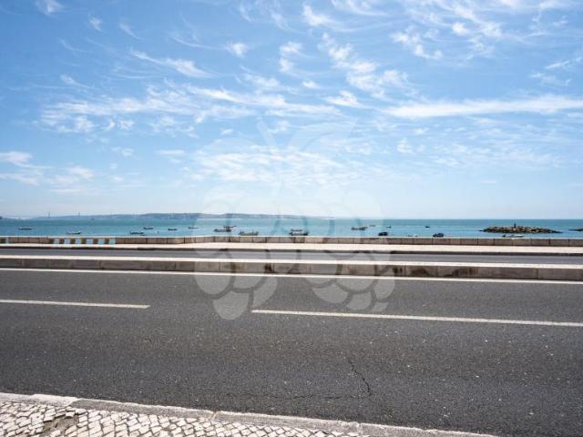 Portimão Algarve 104683256