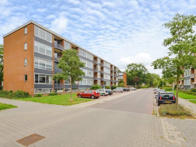 Portiekflat appartement te huur in Deventer