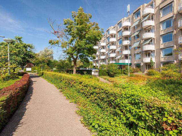 Portiekflat corridorflat te huur in Rotterdam