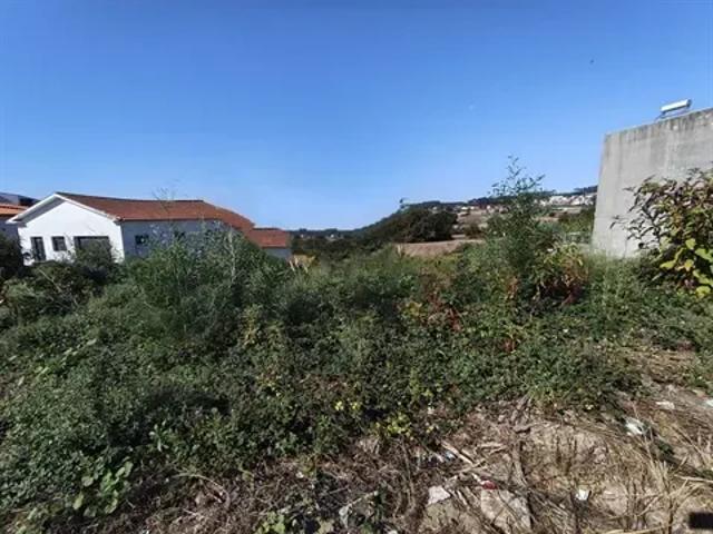Porto Trofa 103530574