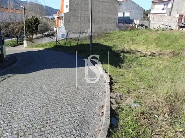 Porto Valongo 103555985