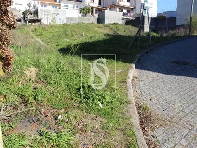 Porto Valongo 103556035