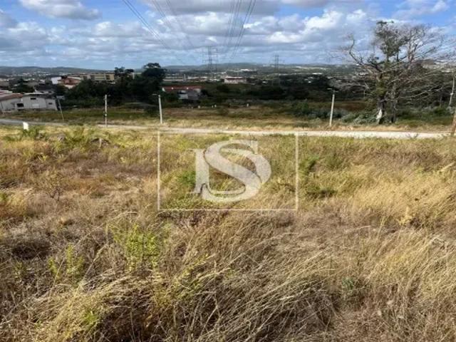 Porto Valongo 103514371