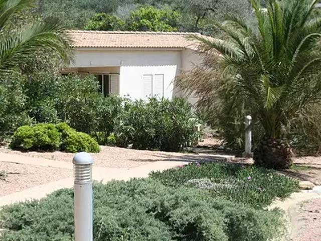 Porto Vecchio 20137 Achat / Vente maison 3 pièces t3 jardin terrasse