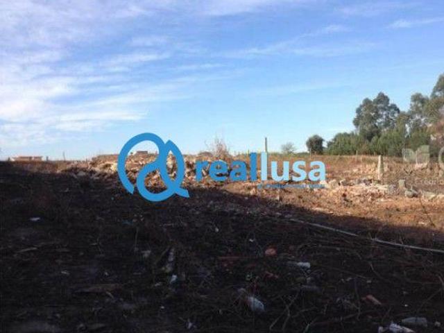 Porto Vila Nova de Gaia 4410 99720656