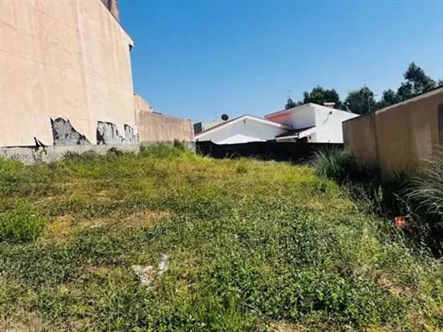 Porto Vila Nova de Gaia 103534340
