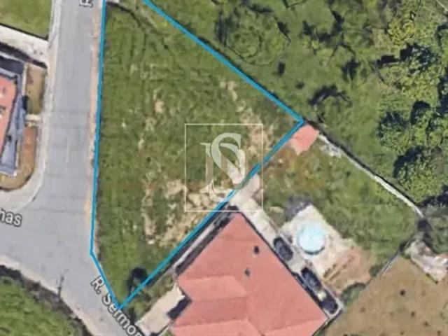 Porto Vila Nova de Gaia 103541139