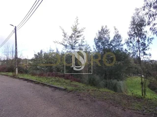 Porto Vila Nova de Gaia 103554136