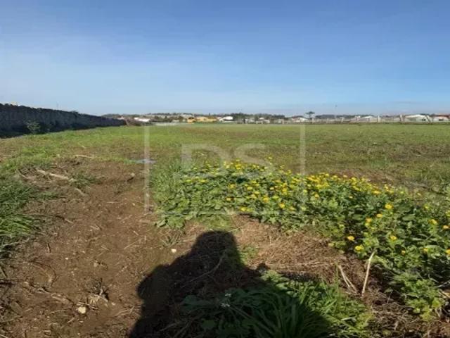 Porto Vila do Conde 103410243