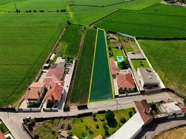 Porto Vila do Conde 103535209