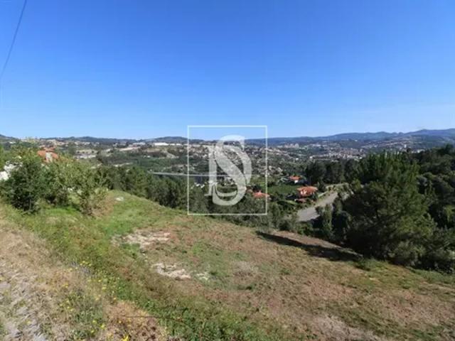 Porto Amarante 103541169