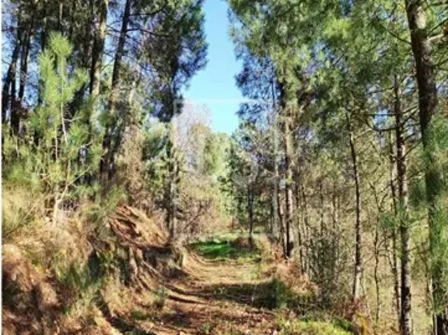 Porto Baião 103417108