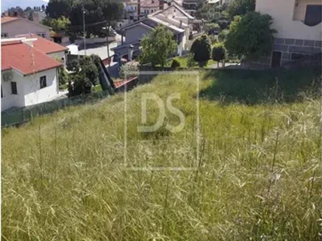 Porto Baião 103417170